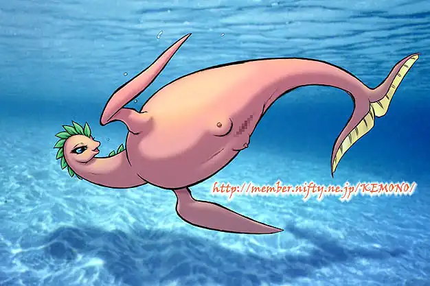 sr01.webp (68703 oCg)